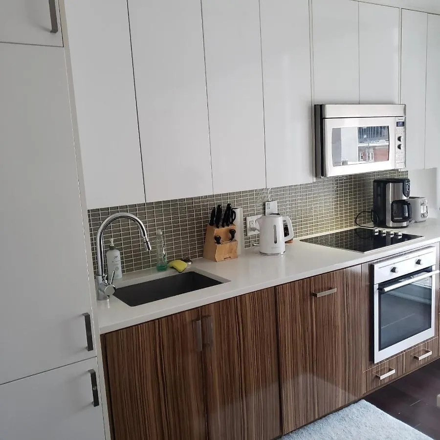 Lovely Entire 1 Bedroom Plus A Den Fully Furnished Ottawa 0*,  Canada